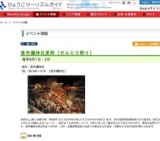 貴布禰神社夏祭（だんじり祭り）