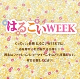 CoCoLo長岡 はるこい女子力ＵＰショップセミナー参加者募集