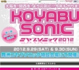 KOYABU SONIC 2013 〜 先行チケット受付開始 〜
