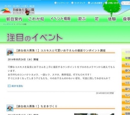 【参加者大募集！】コスモスと可愛いお子さんの撮影ワンポイント講座