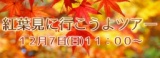 紅葉見に行こうよツアー