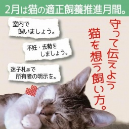 猫の適正飼養推進月間