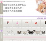 ワンニャン里親募集会