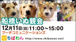 ちばわん『船橋いぬ親会】開催のご案内