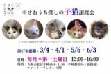 幸せおうち探しの子猫譲渡会