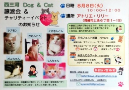 譲渡会 & チャリティーイベント