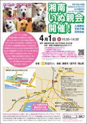 ちばわん湘南いぬ親会（譲渡会）