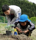 野菜の苗を植えよう | OISAKO 夢充集楽プロジェクト