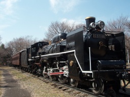 [日帰りツアー・体験イベント] 【土日祝】江戸東京たてもの園 ～江戸から昭和期の文化的価値の...