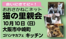 猫の里親会