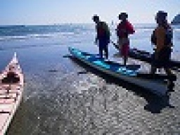 平日イベント　シーカヤック体験ツアー　　アウトドア社会人サークルFEAD