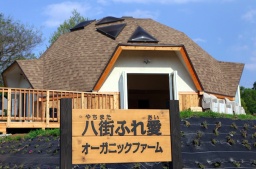 【八街ふれ愛オーガニックファーム】1月22日（日）冬期最終収穫祭！