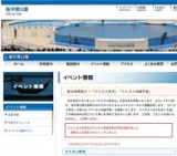 「ウミガメ放流」「ウミガメ体験学習」