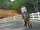 【平日アウトドア♪　本格乗馬体験　】　社会人サークルFEAD