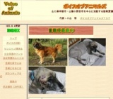 わんにゃん譲渡会