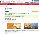 クリスますプレゼント（ニジマス卵配布、お家で育てます！）