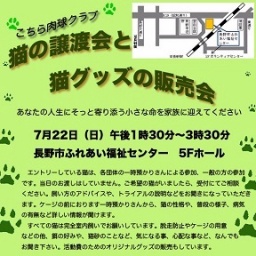 猫の譲渡会と猫グッズの販売会