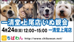 保護犬を家族に迎える譲渡会「ちばわん　啓蒙活動＆一清堂上尾店いぬ親会」