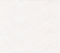 ３月のライオン 公開