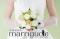 結婚相談所marrigude無料入会説明会