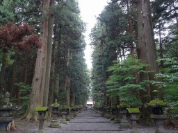 11月11~12日(土・日) 東海聖地巡り:ベストセレクション