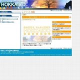 はこだて湯の川温泉いさり火まつり