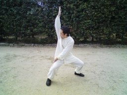 11月 伝統太極拳・八卦掌体験セミナー in 福岡☆