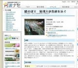 鯉のぼり 秘境大歩危峡を泳ぐ