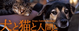 「犬と猫と人間と」上映会