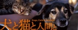 「犬と猫と人間と」上映会