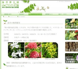 苗木の無料配布