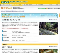 大猷院境内のカタクリの花