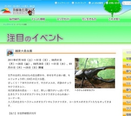 【参加者募集中！】 アルビレックス新潟サッカー教室