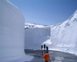 絶景!八甲田「雪の回廊」と酸ケ湯温泉ツアー