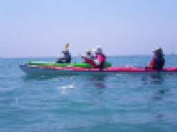 平日アウトドア！本格シーカヤック体験in湘南　　* 社会人サークルFEAD *