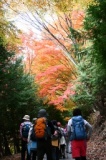 七面山参詣道・法華経２８石柱巡り