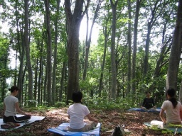 里山セラピーマーケットinなべくら高原