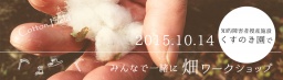 コットンの収穫 in大田区 | Tokyo Cotton Village