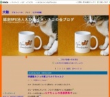 保護猫カフェ「ひめねこ」 