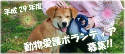 動物愛護ボランティア募集CP