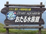 30代・40代　おたる水族館出会い散策
