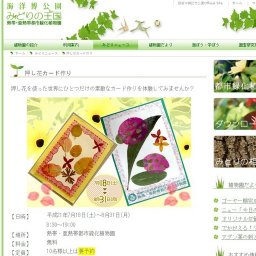 押し花カード作り
