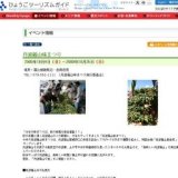 丹波篠山味まつり