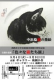 色々な猫たち展