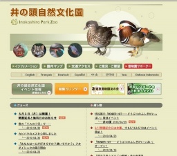 カピバラのメスを公開しました