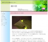 ホタルを見に行こう！2010
