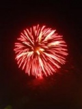 マザー牧場打ち上げ花火