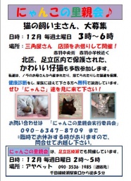 にゃんこの里親会