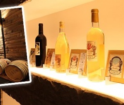 (婚活 バス)日帰りお見合いバスツアー第2回