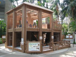 咲くやこの花館 夏休みワクワクイベント